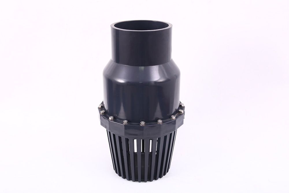 芦淞翻板式底阀